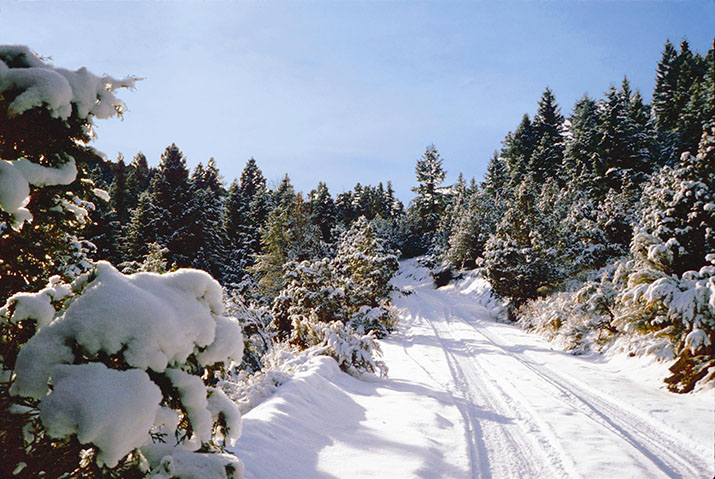 File:RoadToTheHeartWinter-medres.jpg