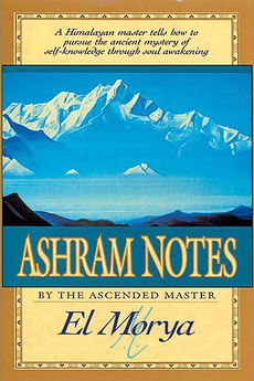 Cover of the book Ashram Notes